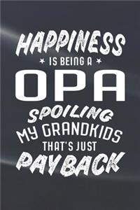 Happiness Is Being A Opa Spoiling My Grandkids That's Just Payback