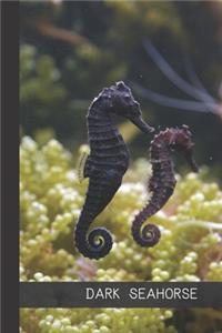Dark Seahorse