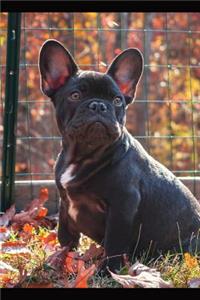 French Bulldog Dot Grid Journal