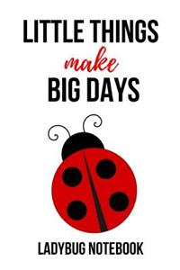 Little Things Make Big Days