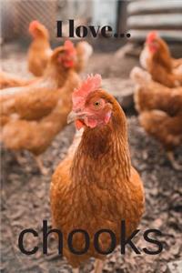I Love Chooks