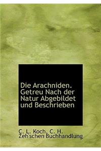 Die Arachniden. Getreu Nach Der Natur Abgebildet Und Beschrieben