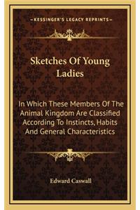 Sketches Of Young Ladies