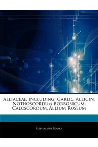 Articles on Alliaceae, Including: Garlic, Allicin, Nothoscordum Borbonicum, Caloscordum, Allium Roseum