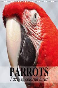 Parrots - Faces of colorful birds 2016