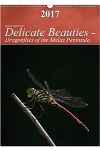 Delicate Beauties - Dragonflies of the Malay Peninsula 2017