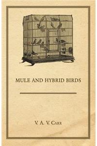 Mule And Hybrid Birds