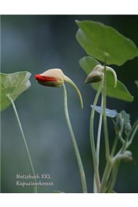 Notizbuch XXL Kapuzinerkresse