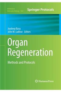 Organ Regeneration