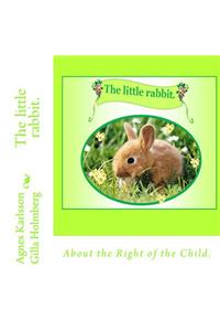 The little rabbit.