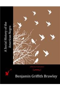 A Social History of the American Negro