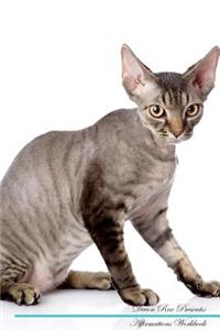 Devon Rex Affirmations Workbook Devon Rex Presents