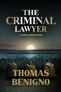 Criminal Lawyer
