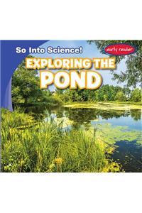 Exploring the Pond