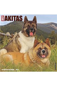 Just Akitas 2020 Wall Calendar (Dog Breed Calendar)