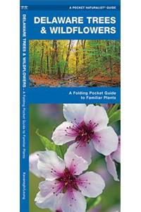Delaware Trees & Wildflowers