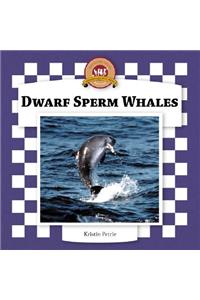 Dwarf Sperm Whales