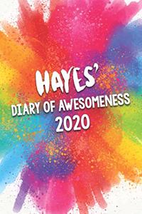Hayes' Diary of Awesomeness 2020