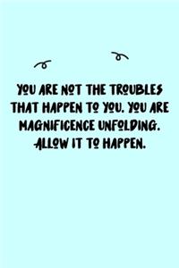 You are not the troubles that happen to you. You are magnificence unfolding. Allow it to happen. Journal