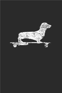 Dachshund On Skateboard