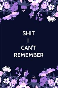 Shit I Can't Remember