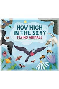 How High in the Sky?