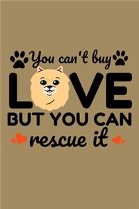 You can't Buy Love But You Can Rescue It