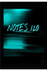 Notes 120