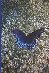 Butterfly Journal