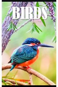 Birds Note Monthly 2020 Planner 12 Month Calendar