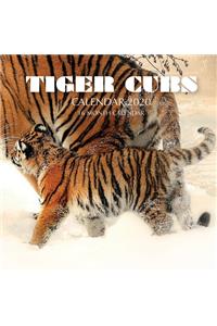 Tiger Cubs Calendar 2020