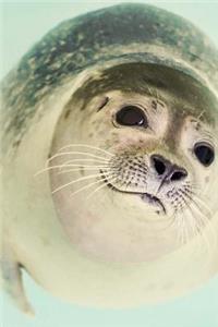 Seal Notebook