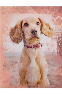 Cute English Cocker Spaniel Dog Composition Notebook, Wide Ruled