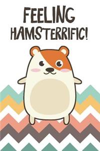 Feeling Hamsterrific!