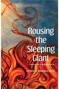 Rousing the Sleeping Giant: A powerful tale of bringing mindfulness to the workplace
