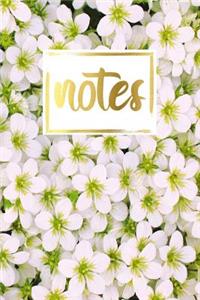 Notes