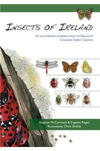 Insects of Ireland