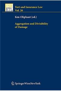 Aggregation and Divisibility of Damage