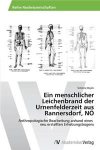 menschlicher Leichenbrand der Urnenfelderzeit aus Rannersdorf, NÖ