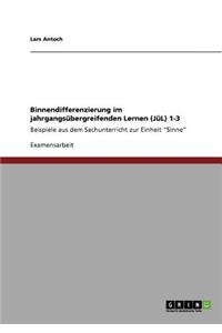 Binnendifferenzierung im jahrgangsübergreifenden Lernen (JüL) 1-3