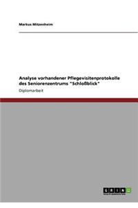 Analyse vorhandener Pflegevisitenprotokolle des Seniorenzentrums Schloßblick