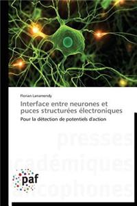 Interface Entre Neurones Et Puces Structurées Électroniques