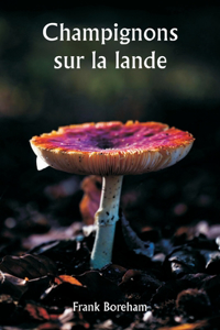 Champignons sur la lande