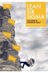 Lean Six Sigma Yellow & Orange Belt