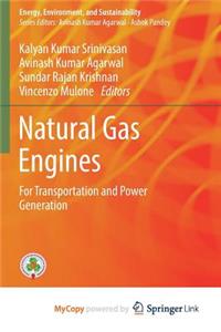 Natural Gas Engines