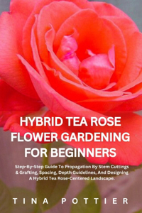 Hybrid Tea Rose Flower Gardening For Beginners