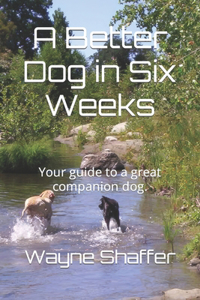 Better Dog in Six Weeks