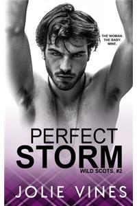 Perfect Storm (Wild Scots, #2)
