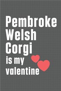 Pembroke Welsh Corgi is my valentine