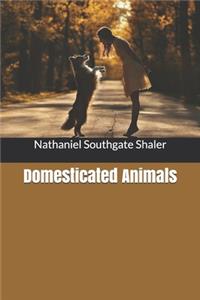 Domesticated Animals